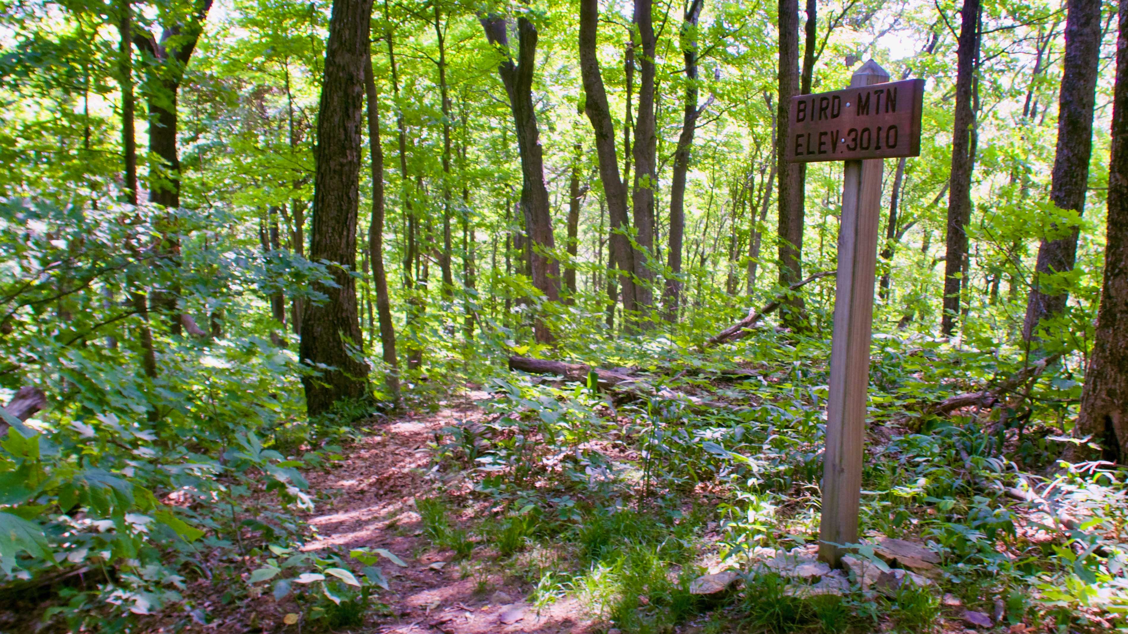 Pct 2019: Waiting For The Snow To Melt 