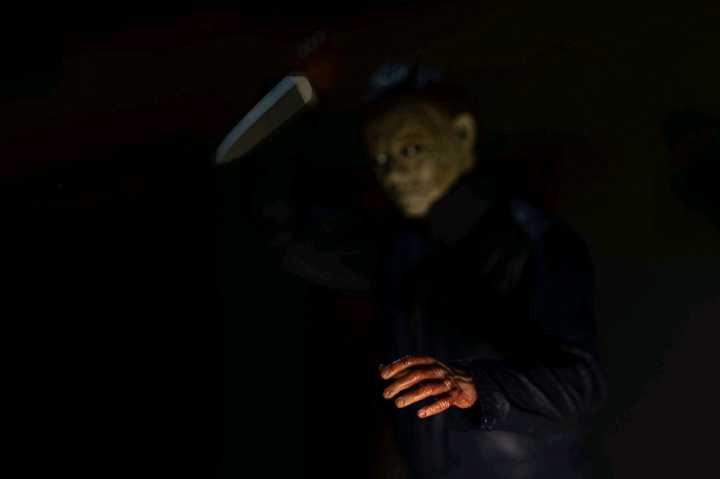 Figure Photograph Collection