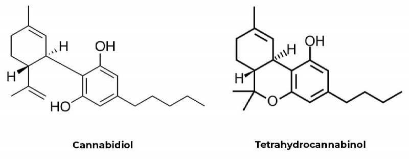 Chemical Composition of THC and CBD