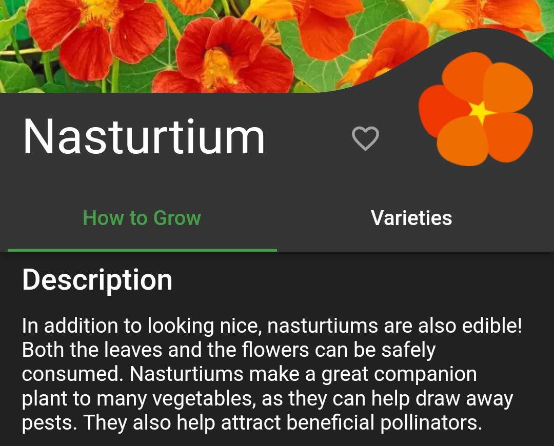 Screenshot of nasturtium plant description in Planter
