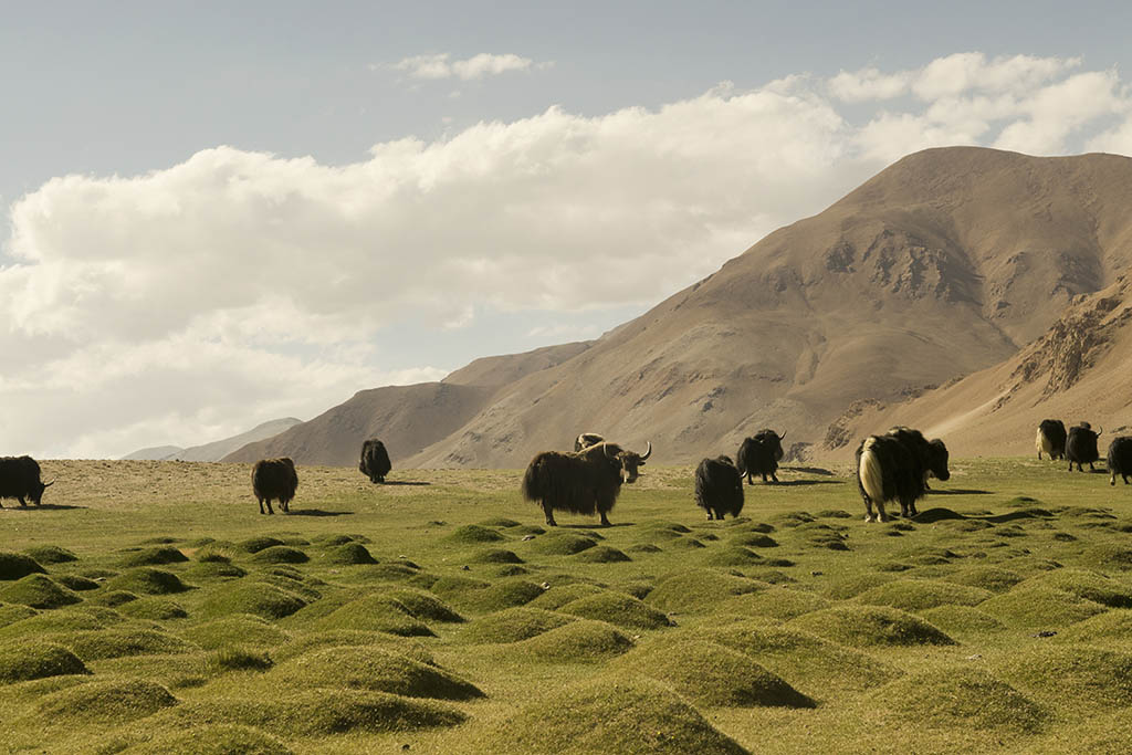 Himalayas Have a Deep Impact on the Climate of the World