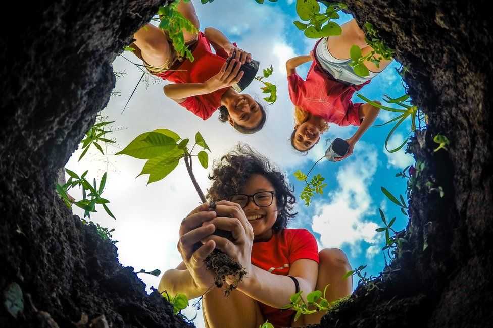 Fellow trail runners? Planting trees