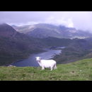 Wales Snowdonia