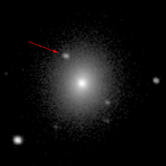 stars/media/sss17a-discovery-label-607daa831ec54abb4007b325d9569d7fdbc31257266efb971b25a9418e7990a6.jpg
