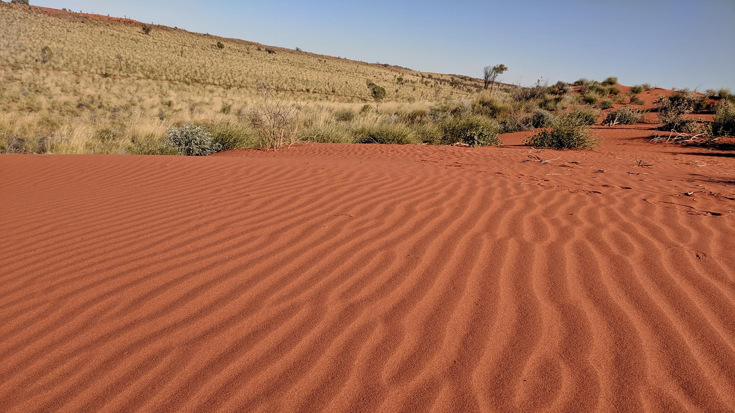 Low view of Australian Outback landscape with red dirt texture heavily feature and dry grassy hill in the distant background