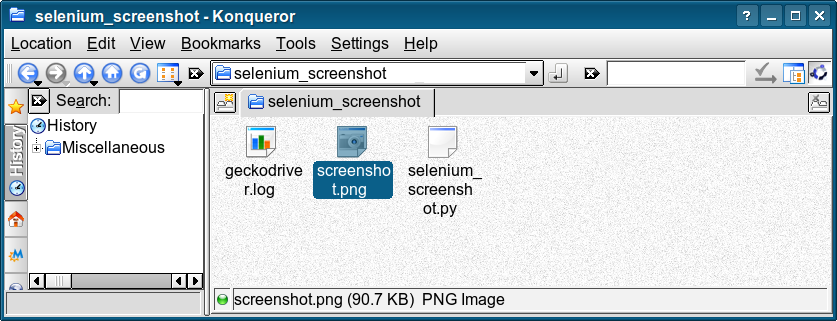 selenium screenshot