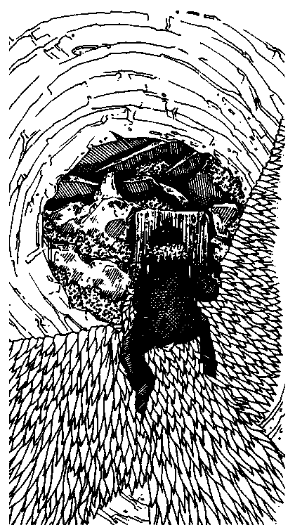 You riding the bird down a corridor.