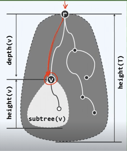 Tree Depth Height