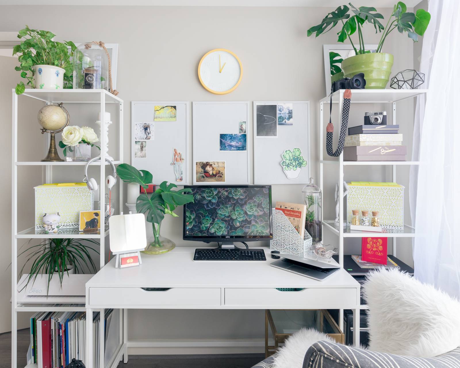 Plants on a desk with a computer
