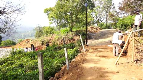 Entrance to the plot