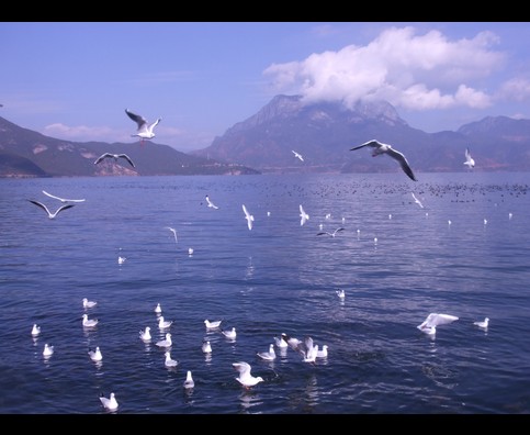 China Lake Lugu 25