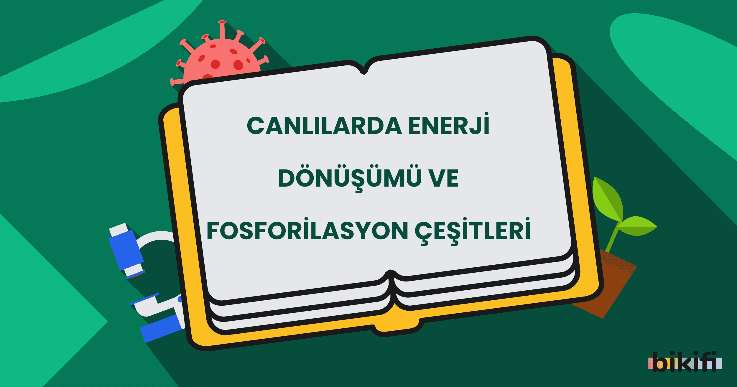 Canlılarda Enerji Dönüşümü ve Fosforilasyon Çeşitleri