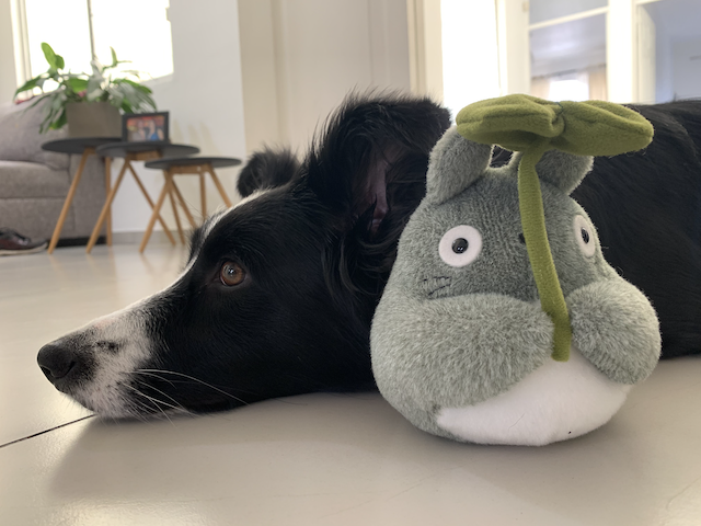 Nina acostada al lado de un peluche de Totoro