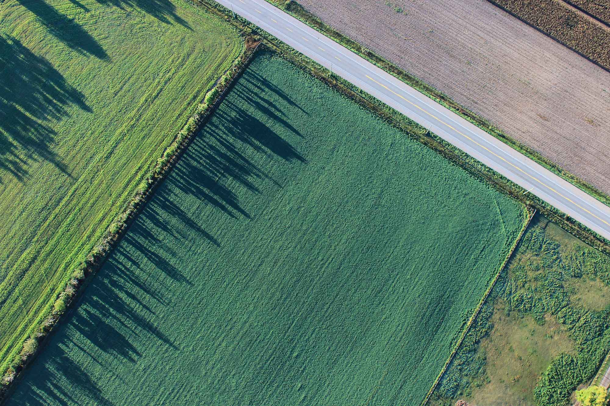 photograph of fields from above.