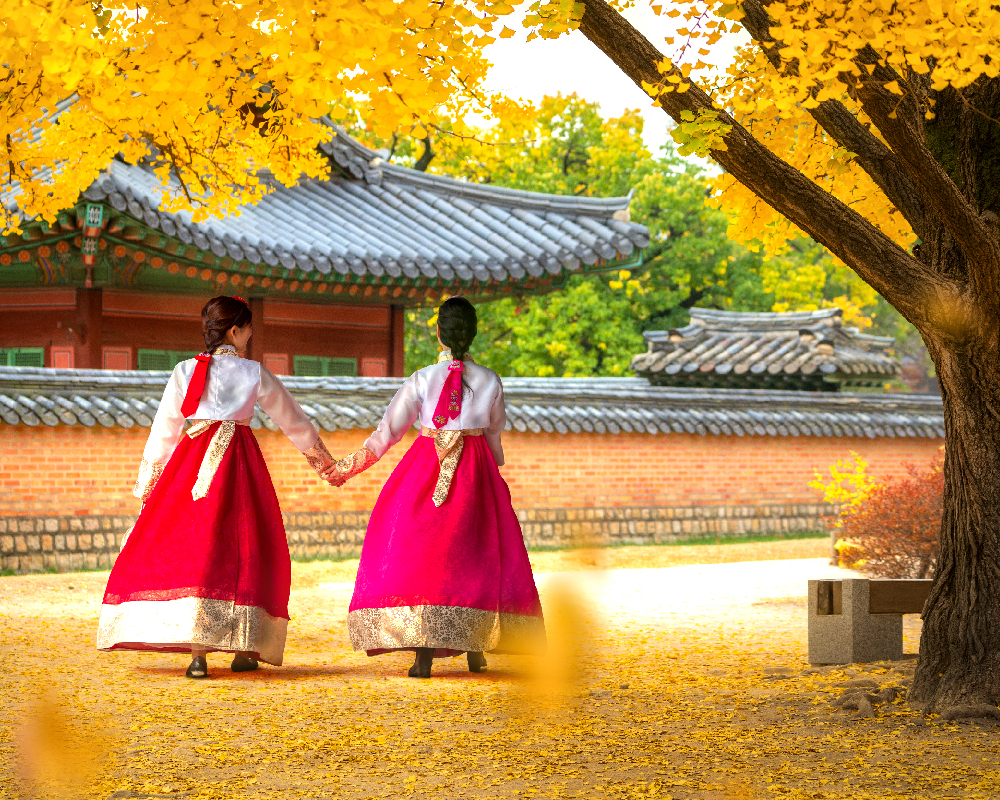 Immerse Yourself in Korean Culture 