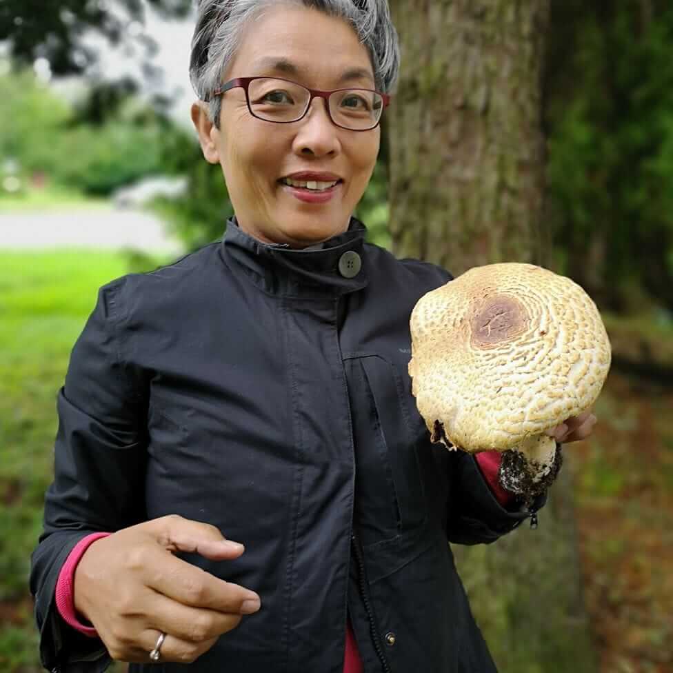 Лэнг Литт Вун и шампиньон августовский (Agaricus augustus). Источник: bbc.com