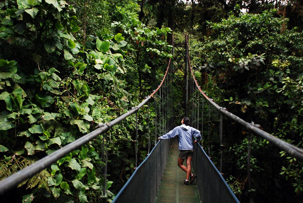 Monteverde Tours - Sky Walk Suspension Bridges