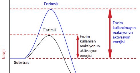 Entalpi ve Entalpinin Hesaplanması