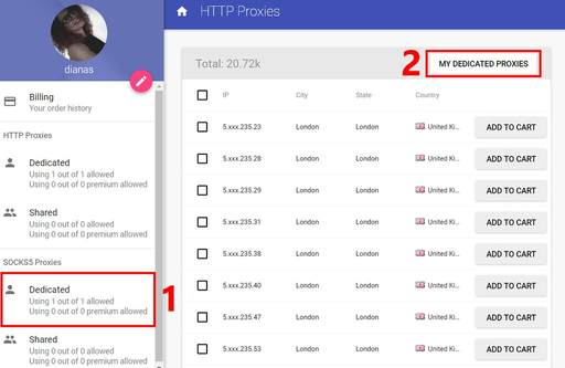How Do I Configure Browsers To Use The SOCKS5 Proxies On Windows