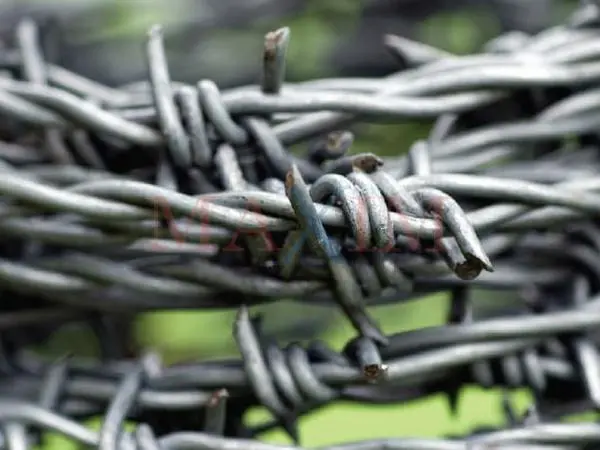 Barbed Wire & Concertina Razor Wire 2