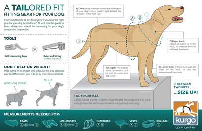 How to Ensure the Perfect Fit For Dog Coats & Harnesses