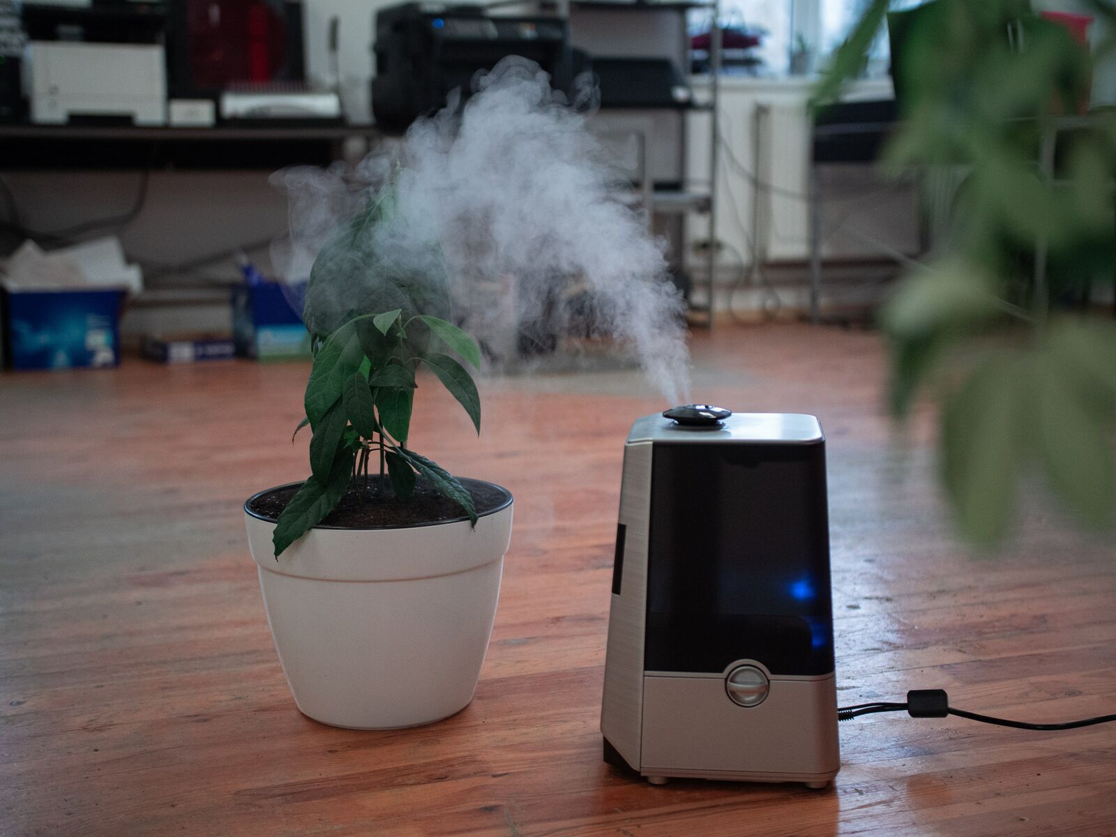small home humidifier on floor with plants