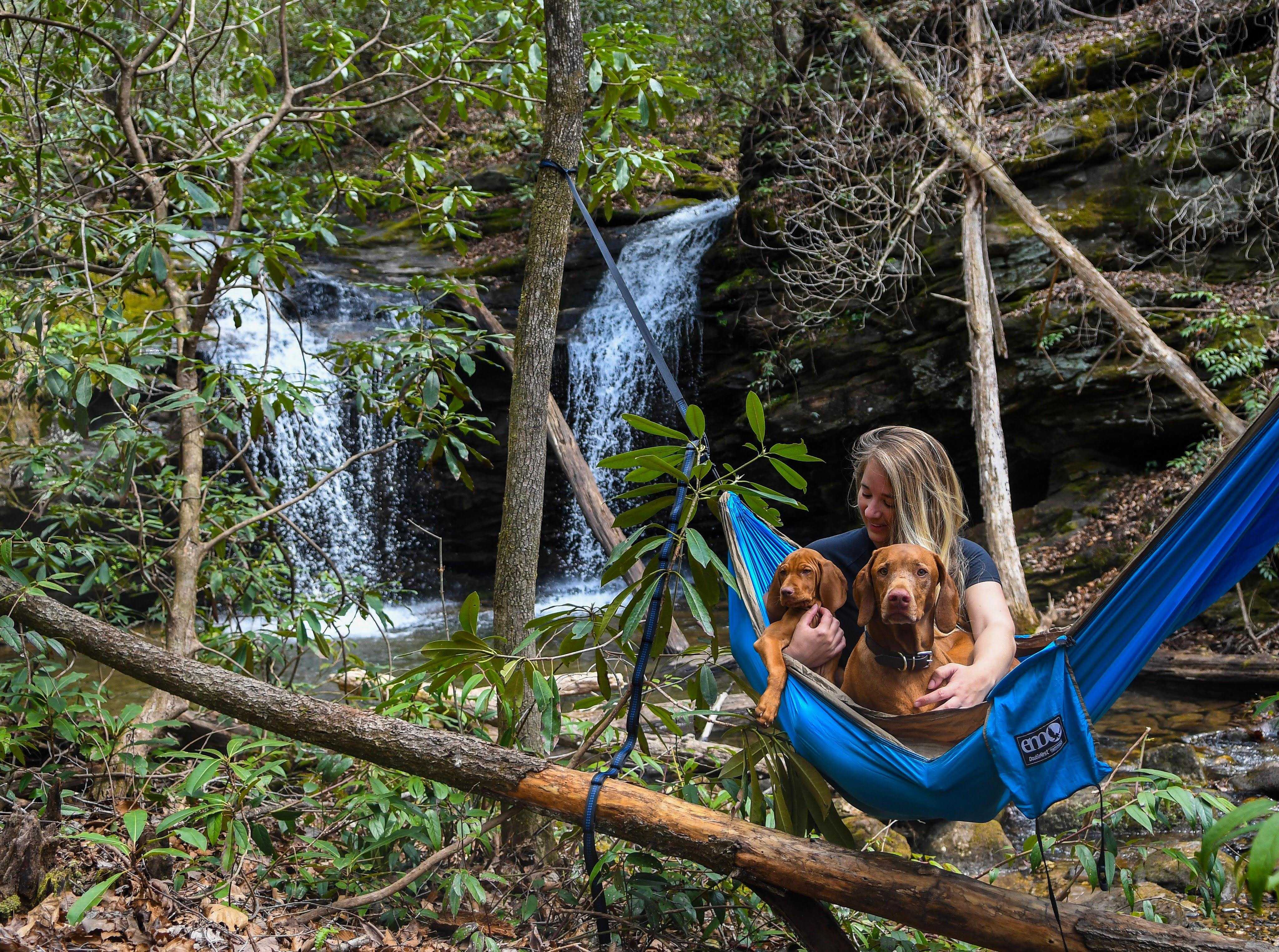5 Dog Moms We Love