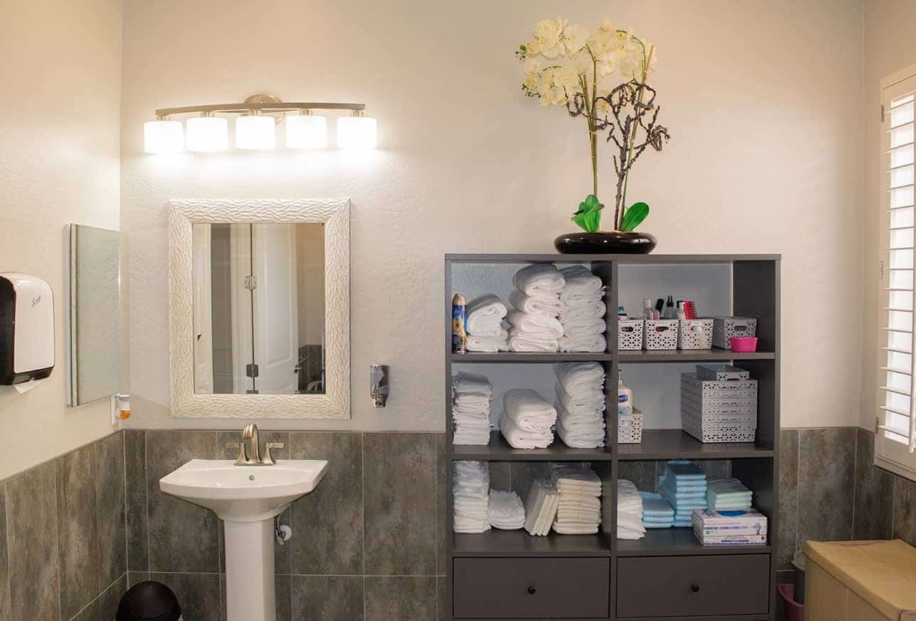 Bathroom Sink and Shelf