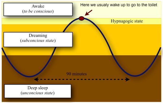 Three States of Dreaming