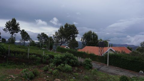 Overview of the plot
