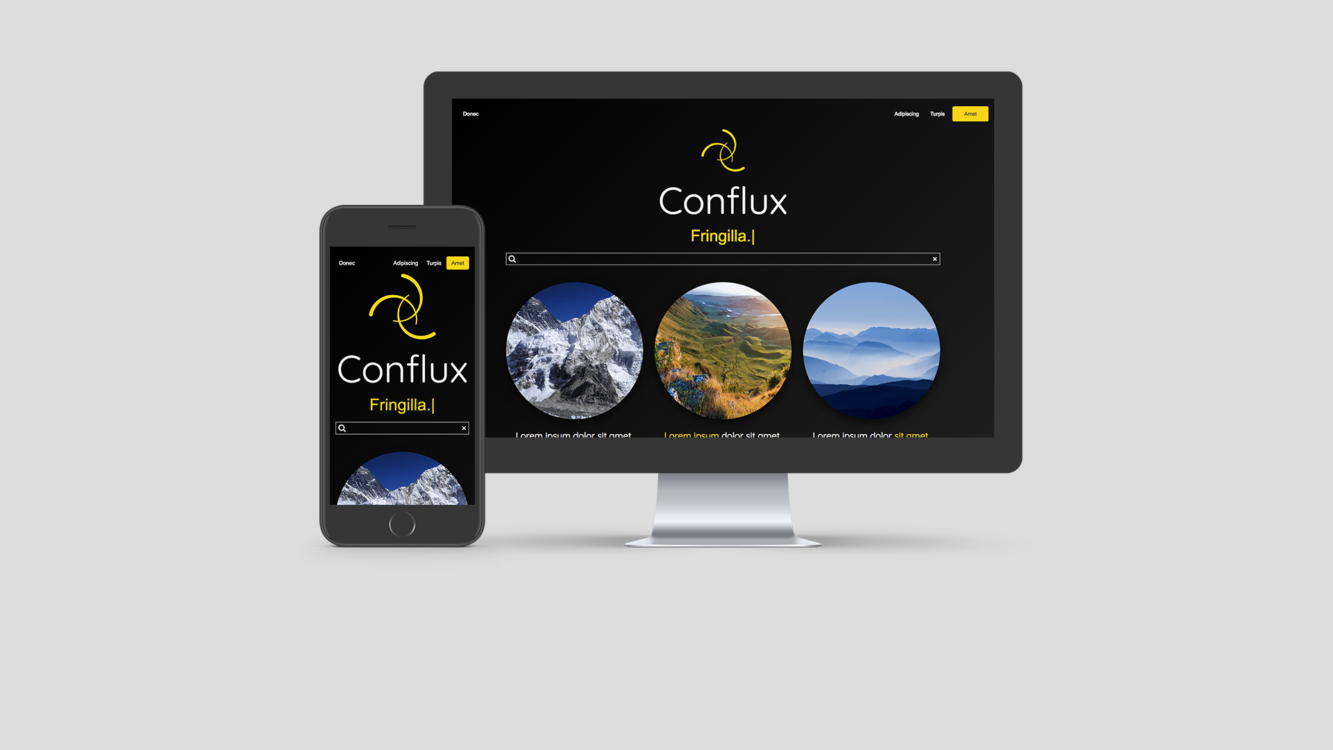 Conflux website template