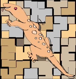 How Lizards Defy Gravity How Lizards Defy Gravity
