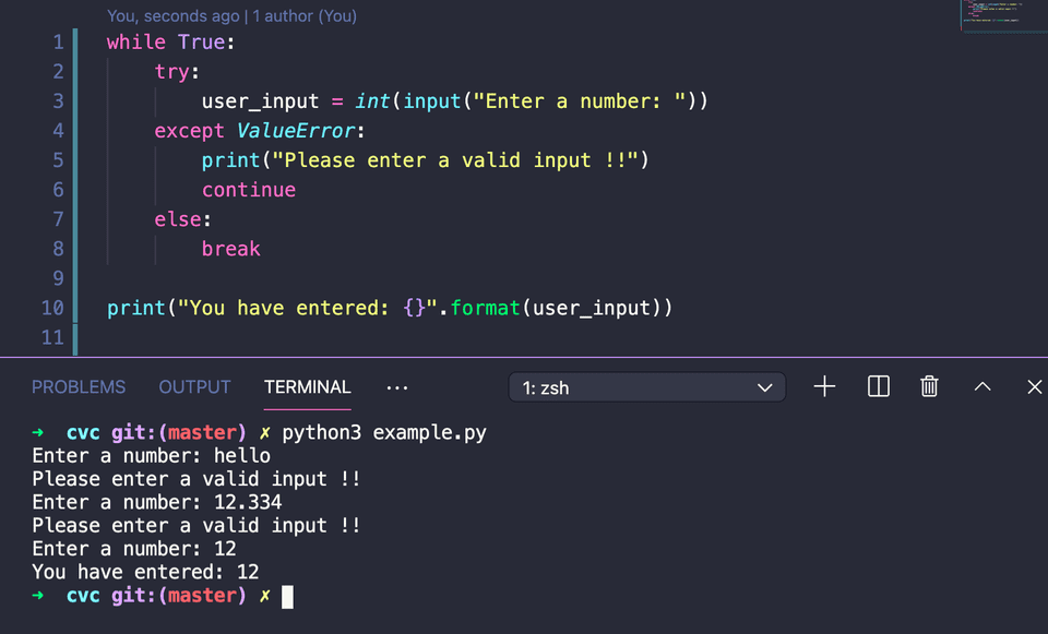 how-to-take-integer-inputs-until-a-valid-response-is-found-in-python-codevscolor