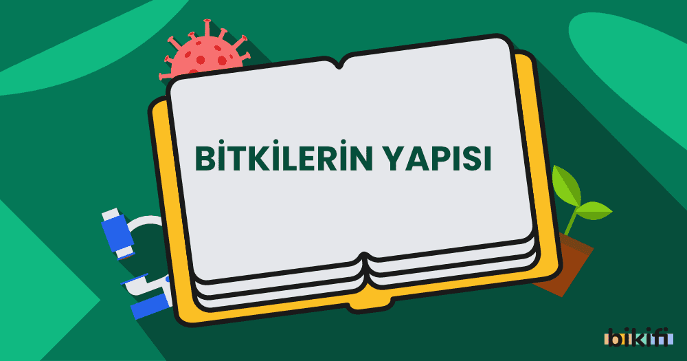 Bitkilerin Yapısı