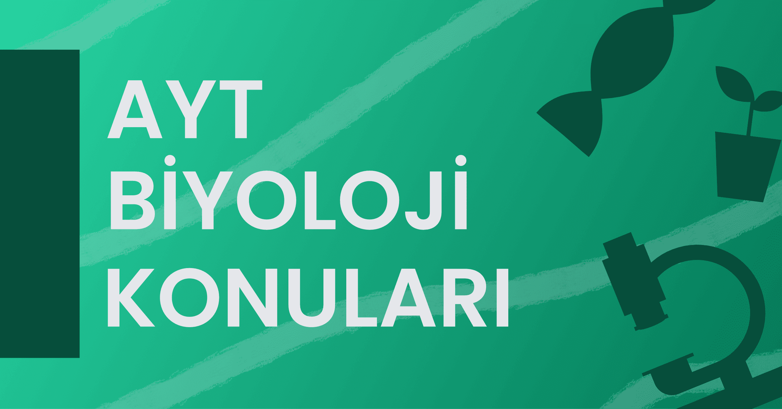 2021 AYT Biyoloji Konuları ve Soru Dağılımı