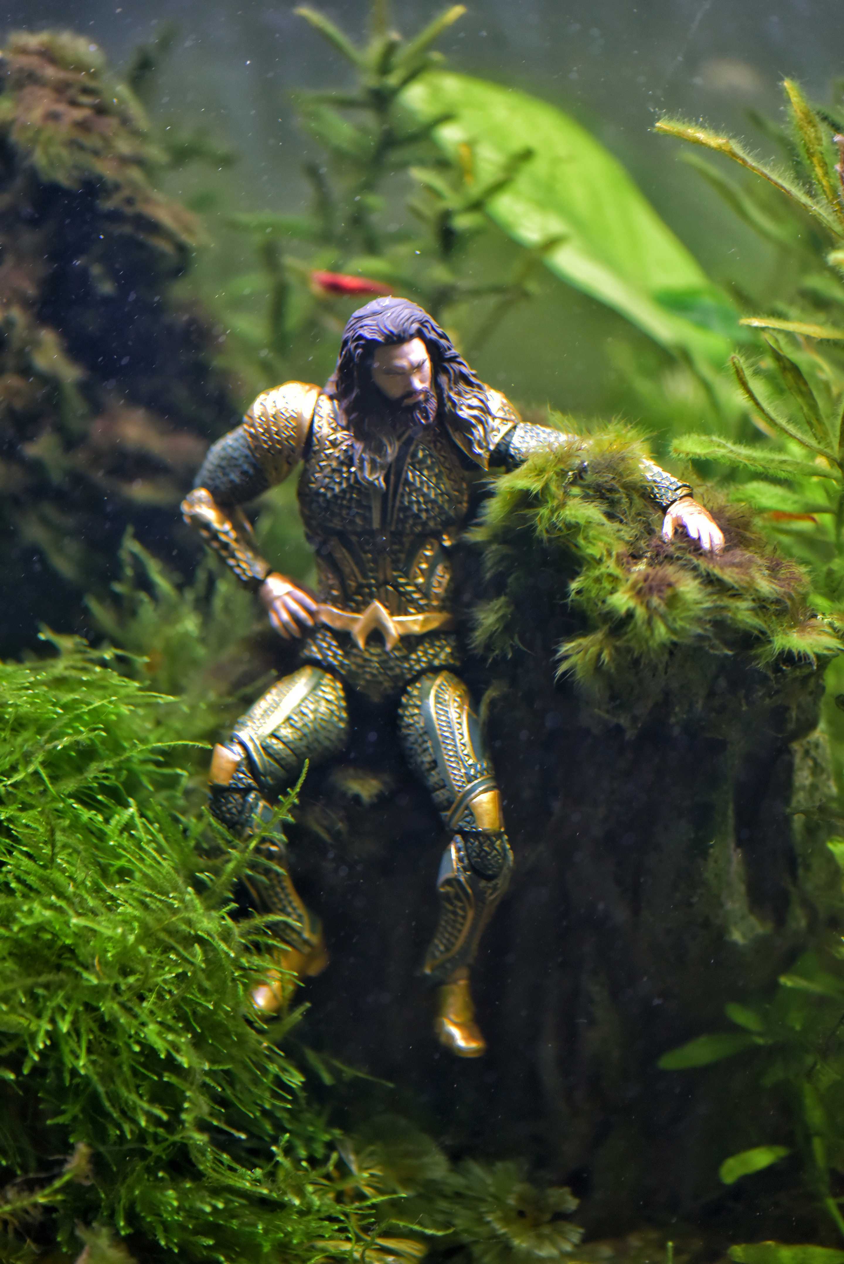 Aquaman In Fish Tank