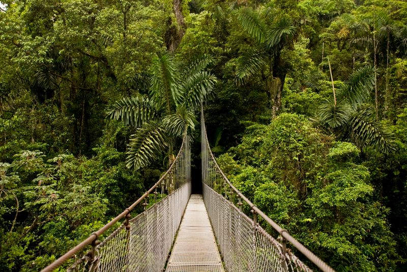 Arenal 2-in-1 Tour Arenal Volcano Costa Rica