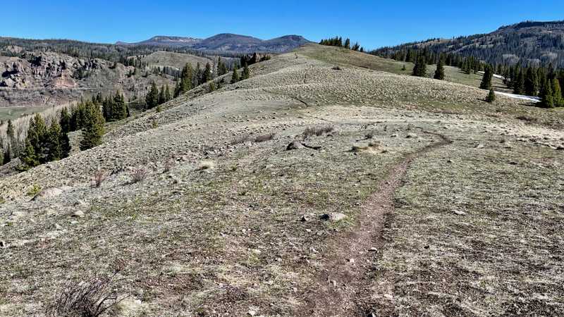 The CDT crosses a long, grassy ridge