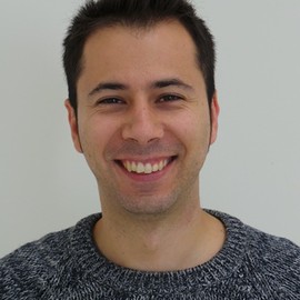 Carlos Cámara-Menoyo