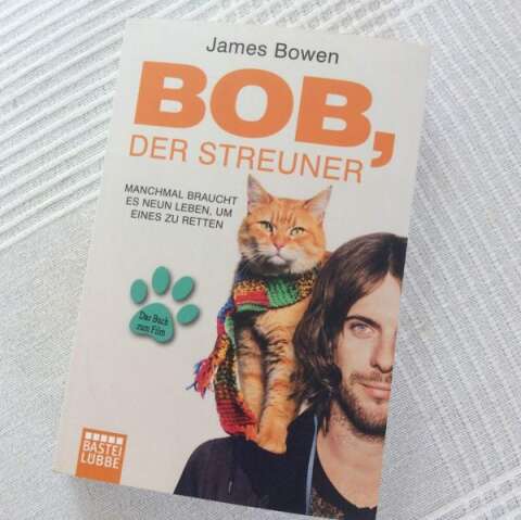 Bob, der streuner. или один мужик и один котик.