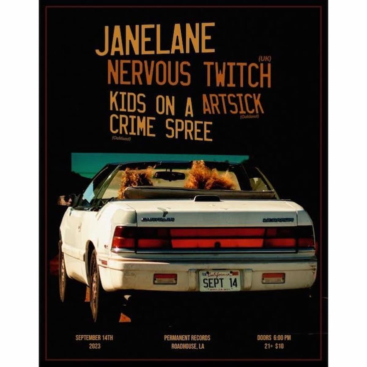 Janelane / Nervous Twitch / Artsick / Kids on a Crime Spree