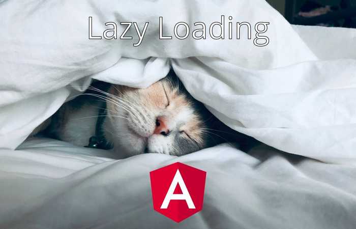 Manually Lazy Load Modules And Components In Angular Image