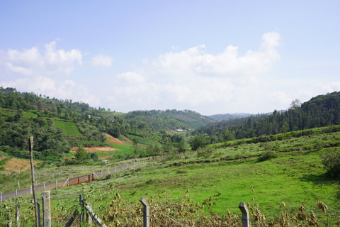 Gated Community with Plots for sale in Ooty | Vitrag Group