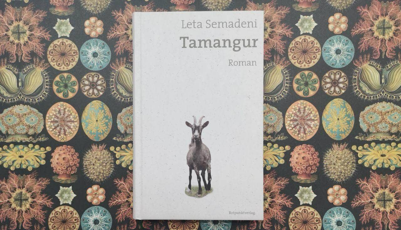 Tamangur von Leta Semadeni