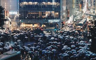 Shibuya Crossing