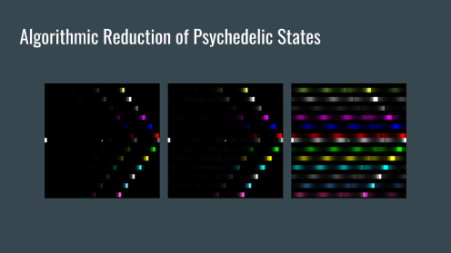 algorithmic reduction of psychedelic states