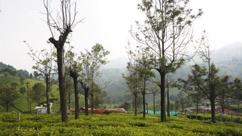 Plot 148 at Sua Serenitea for Sale