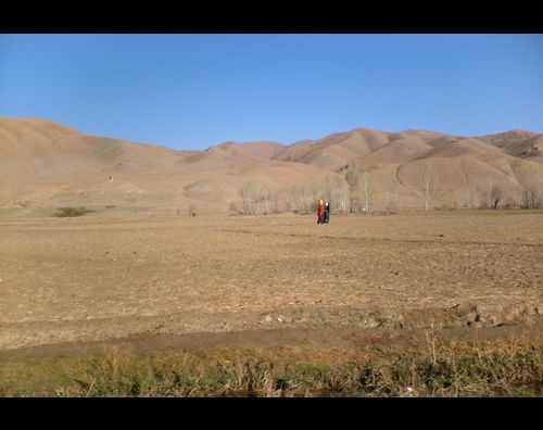 Central Afghan 9