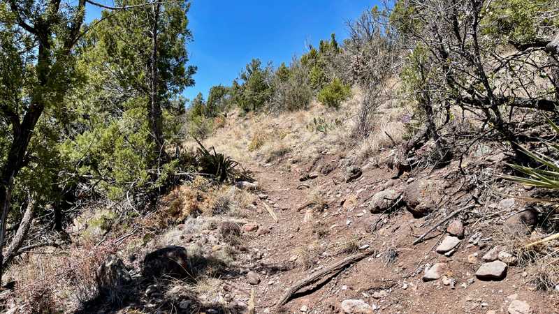 The trail makes a rugged climb