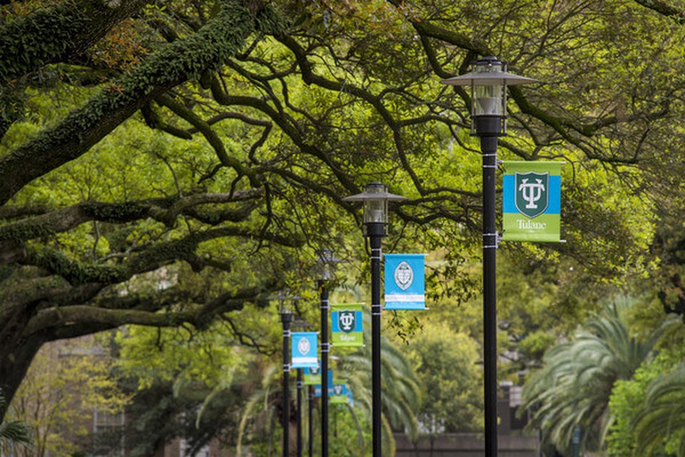 Trees and lamps. On each lamp there is a flag from Tulane University